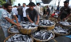 Penanganan Anjloknya Harga Ikan oleh KKP di Aceh