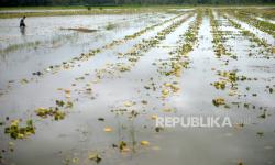 Tujuh Kecamatan di Kulon Progo Tergenang Banjir