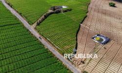 In Picture: Siasat Petani Lereng Gunung Arjuno Hadapi Krisis Air saat Musim Kemarau