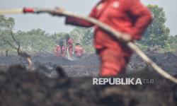In Picture: Tak Kenal Lelah Berjibaku Padamkan Karhutla di Jambi