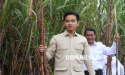 Wapres Gibran: Pemerintah Komit Dukung Petani Tebu Capai Swasembada Gula