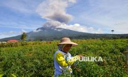 Kemenag: Potensi Zakat Pertanian Capai Rp 19,79 Triliun