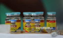 Sekitar 60 Persen Wilayah Indonesia Merupakan Endemis Rabies