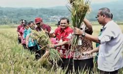 Cakupan Kawasan Pemurnian Tanah di Kabupaten Semarang Diperluas
