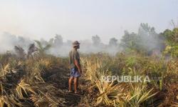 Menhut: Panas Ekstrem dan Badai Filipina Picu Karhutla Riau