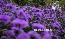In Picture: Geliat Wisata Kawasan Lembang di Momen Libur Panjang Waisak