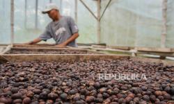 Ekspor 8 Ton Kopi ke Dubai, Menhut: Cita-cita Pak Prabowo Mulai Terlihat Hasilnya