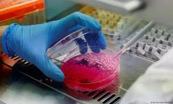 Penelitian Palsu Bikin Orang Meragukan Sains