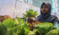 Bapanas Dorong Pemanfaatan Pekarangan untuk Perkuat Ketahanan Pangan Nasional