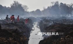 Government Seals Burned Forest Area in South Sumatra