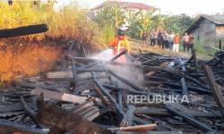 Si Jago Merah Lalap Kandang, Puluhan Ribu Ayam Mati Terpanggang