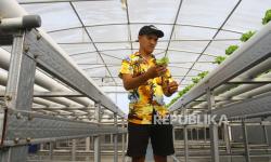 Kendala Pertanian Hidroponik di Malang