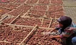 Harga Bawang Merah di Jayapura Naik Jadi Rp 80 Ribu per Kg