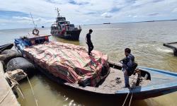 Bea Cukai Bengkalis Gagalkan Penyelundupan 28 Ton Mangga dan Bawang Merah Ilegal