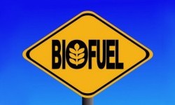 AS Alokasikan 118 Juta Dolar AS untuk Proyek Biofuel