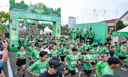 Yogyakarta Jadi Penutup Road to Milo Activ Indonesia Race 2025, 4.200 Pelari Ikut Berpartisipasi