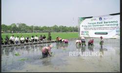 Food Station Gandeng Gapoktan Rorotan Garap 235 Hektare Sawah