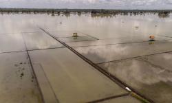  Wagub Jabar Serahkan 56 Ton Beras ke Korban Banjir Pangandaran 
