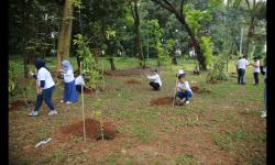Hari Lingkungan Hidup Sedunia, Ribuan Pohon Ditanam untuk Perbaiki Kualitas Air