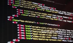 Guru Ikut Pelatihan Coding, Pemda Kepri: Dunia Bergerak Cepat ke Arah Digitalisasi