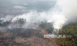 BMKG: Waspadai Seluruh Wilayah NTT Berstatus Sangat Mudah Terbakar