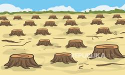 ilustrasi pembalakan liar dan penggundulan hutan secara ilegal