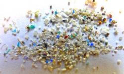 Fakta Mikroplastik, Ada di Mana-Mana, dari Pantai Hingga Tubuh Manusia