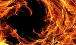 Kebakaran Kandang di Tenjo, 20 Ribu Ekor Ayam Hangus Terbakar