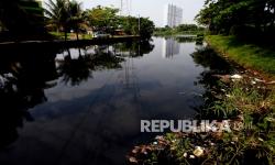 In Picture: Setu Citongtut Bogor Rusak Tercemar Limbah Industri