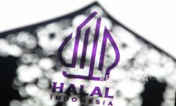 Tuak, Beer, Hingga Wine Kembali Peroleh Sertifikat Halal, Begini Ternyata Temuan MUI 