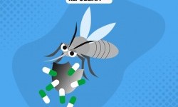 8 Hal Ini Bikin Kasus Malaria Melonjak Saat Musim Pancaroba