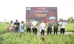IPB University Luncurkan Provibio Botani: Pupuk Hayati Multiguna sebagai Solusi Pertanian