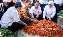 Hari Pertama Ramadhan Mentan Sidak Pasar, Sebut Harga-Harga Masih Normal