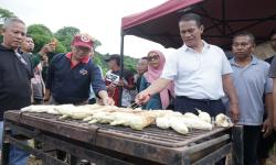 In Picture: Momen Mentan Amran Nikmati Jagung Bakar Bersama Masyarakat di Maros