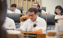 Stok Beras Tertinggi, Mentan Amran Banjir Apresiasi dari Komisi IV DPR RI