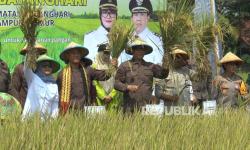Luncurkan Petani Mitra Adhyaksa, Kejati Lampung Target Panen Raya 28 Ribu Ton Gabah