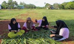 Menyibal Potensi Ekonomi Pangan Lokal, dari Hutan Kapuas Hulu hingga Papua Selatan