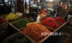 Jokowi Cek Harga Bahan Pangan di Pasar Kemuning Pontianak