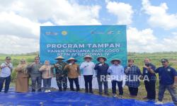 RSI dan PTPN IV PalmCo Panen Perdana Padi Gogo di Jambi