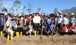 Bibit UPLAND Project Ditanam di Garut, Diyakini Mampu Tingkatkan Kesejahteraan Petani 