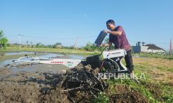 Pertamina Kembangkan Energi Transisi, Dorong Kesejahteraan 408 Petani di Desa Uma Palak