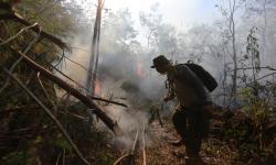 In Picture: BMKG Imbau Warga NTT Waspadai Wilayah Berstatus Sangat Mudah Terbakar