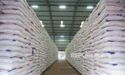 Produksi Beras Nasional Januari-Juli 2025 Tembus 21,76 Juta Ton, Naik 14,49 Persen
