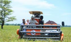 Kenaikan Produksi Pertanian Disebut Jadi Penopang Ekonomi Nasional