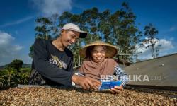 Penyaluran KUR BRI hingga April 2025 Capai 31,38 Persen