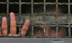 Penjajah Israel Tahan 464 Warga Palestina Sejak Juni, Termasuk Wanita dan Anak