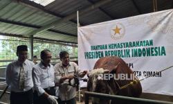 Kenalan dengan Dong Dong, Sapi Kurban Asal Kota Cimahi yang Dibeli Prabowo Rp 120 Juta