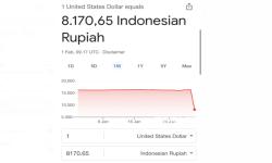 Mengapa Google Bisa Salah Tampilkan Nilat Tukar Jadi Rp 8.170 Per Dolar? Ini Kata Pakar IT