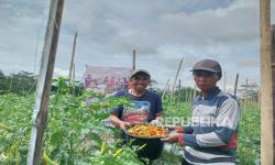 Sepanjang Oktober 2025, Rumah Zakat mendistribusikan bantuan kepada 57.433 penerima manfaat.