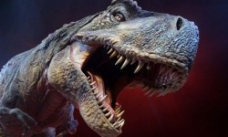 Perusahaan Ini Klaim Mampu Bikin Dompet dari ‘Kulit Dinosaurus’, <em>Gimana</em> Caranya?